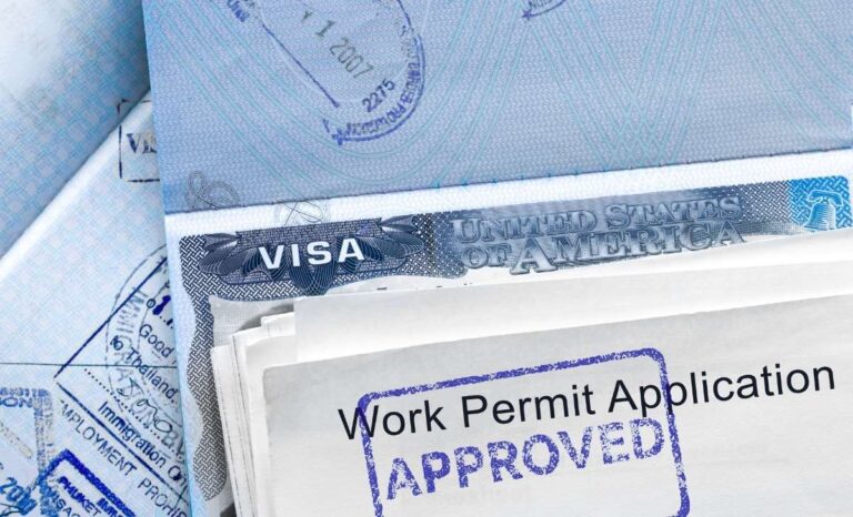 Visa and Work Permit under the BOI Scheme