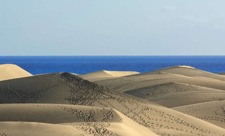 Different Approaches to Land Ownership by Foreign Companies