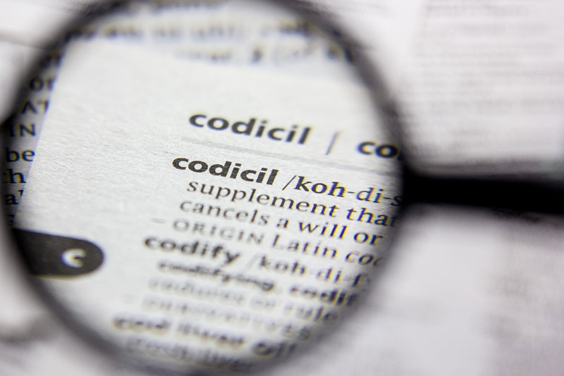 codicil